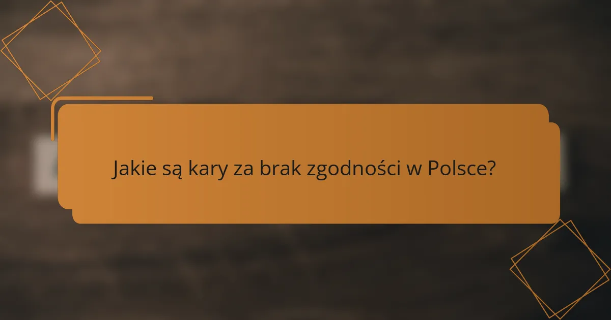 Jakie są kary za brak zgodności w Polsce?